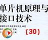 单片机原理与接口技术(30)